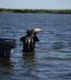 Гостевой дом «У Саши» в дельте Волги